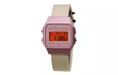CASIO F-91WS-4
