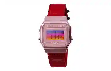CASIO F-91WS-4