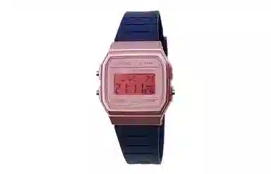 CASIO F-91WS-4