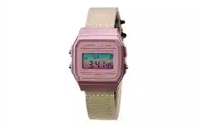 CASIO F-91WS-4