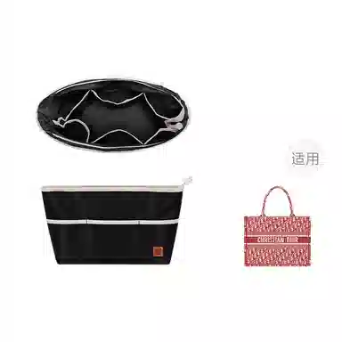 Dior Book Tote Organizer
