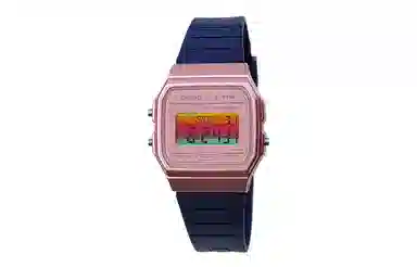CASIO F-91WS-4