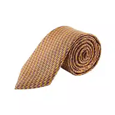 WENSLI