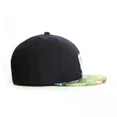 Rainmaker Cap dollar