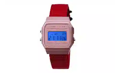 CASIO F-91WS-4