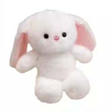 25cm