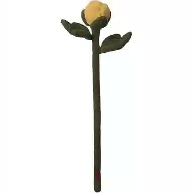 45cm