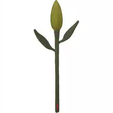 45cm