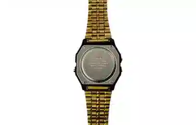 CASIO F-91WG-9-Steel Hive