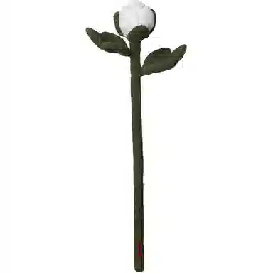 45cm