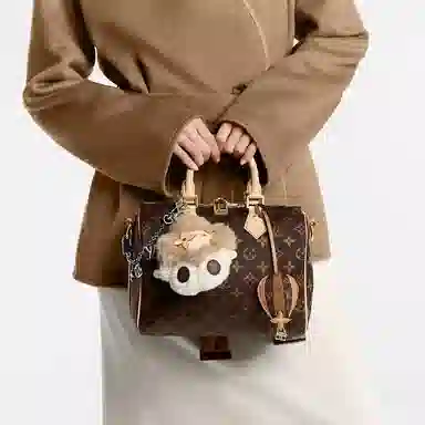 LOUIS VUITTON Sky Monogram