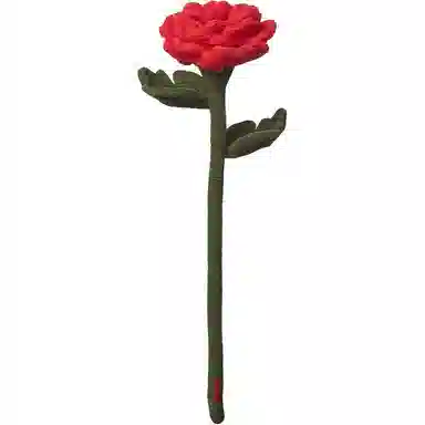 45cm