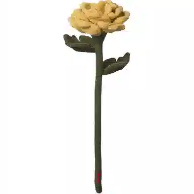 45cm