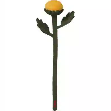 45cm