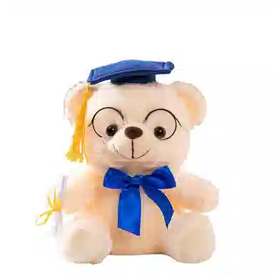 22cm