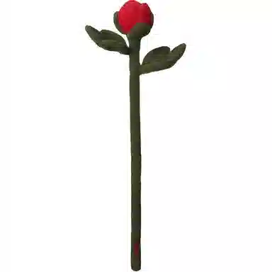45cm