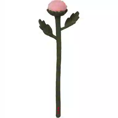 45cm