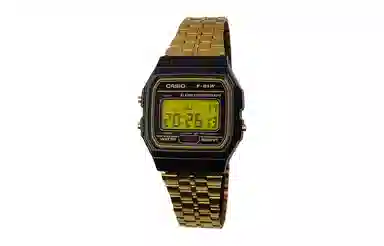 CASIO F-91WG-9-Steel Hive