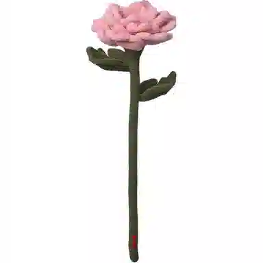 45cm
