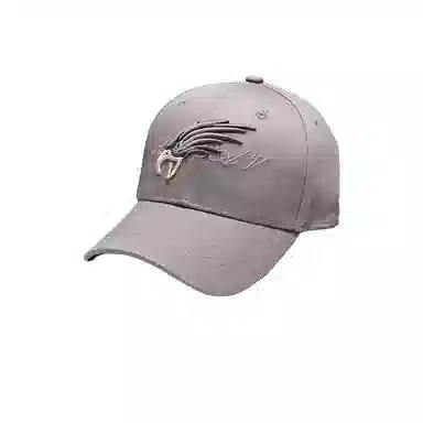 艾佳微 弯檐户外野炊露营登山骑行 棉 鸭舌帽 男女同款情侣款