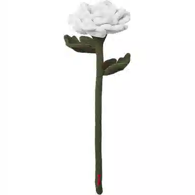 45cm