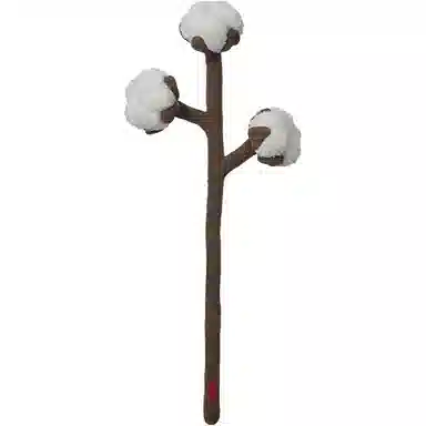 45cm