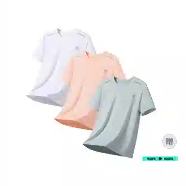pallsupol logoT