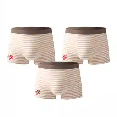 Garfield Family Basic Breathable Boxer Briefs Men Set