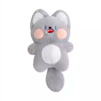 25cm38cm