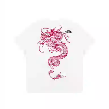 THE NORTH FACE logoT