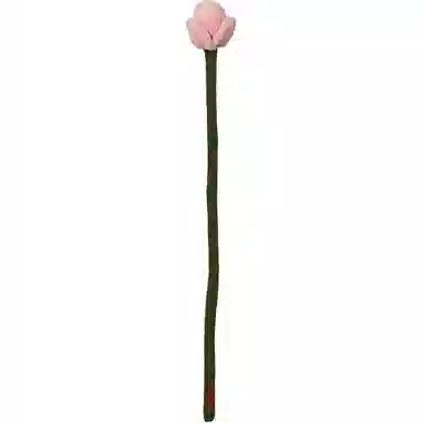 45cm