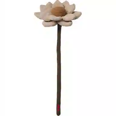 45cm