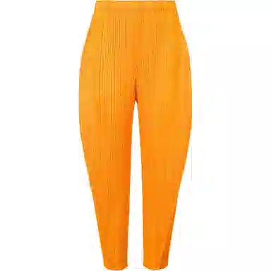 PLEATS PLEASE ISSEY MIYAKE