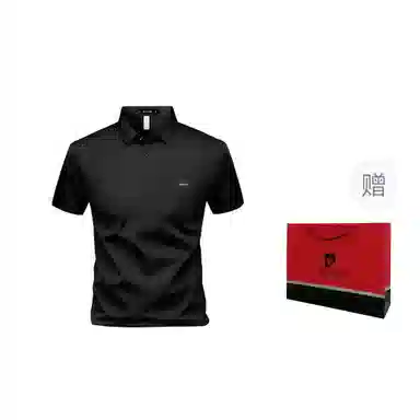 Pierre Cardin Polo Shirt