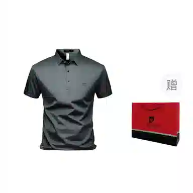 Pierre Cardin Polo Shirt