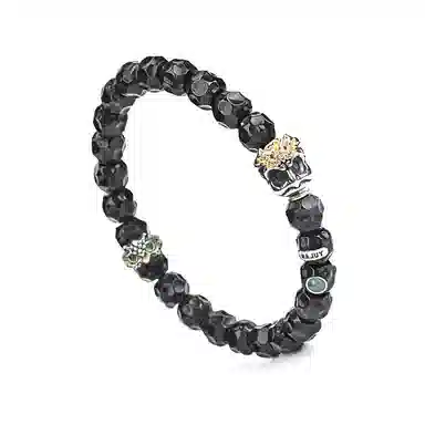 钰澜文玩 鹏变玄相 椰蒂 手串 男女同款情侣款