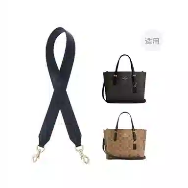 COACH Mollie 25 Tote