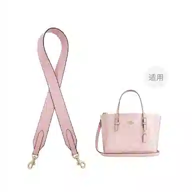 COACH Mollie 25 Tote