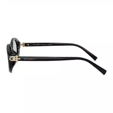 Tiffany & Co. Oval Acetate Sunglasses Black
