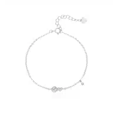 zoo jewel S925