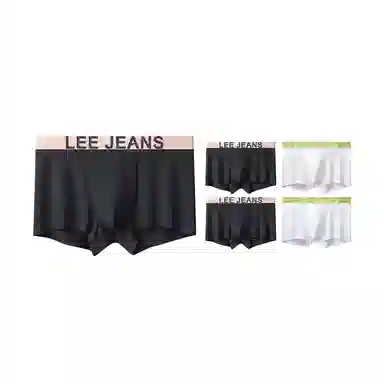 Lee 5.01.0 7A 5