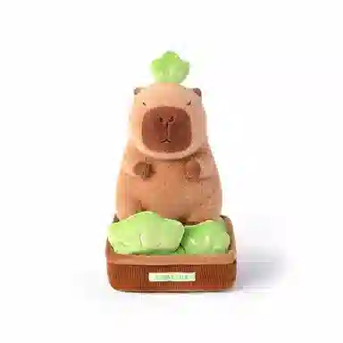 30cm