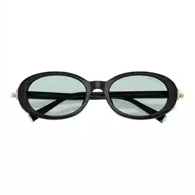 Tiffany & Co. Oval Acetate Sunglasses Black