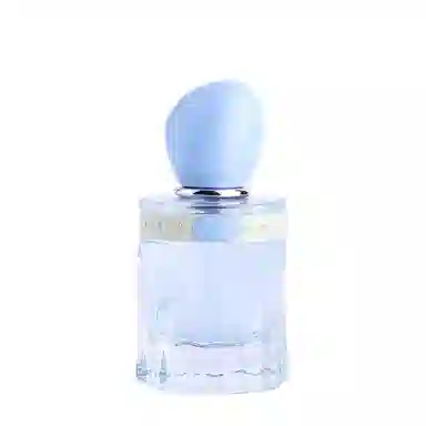CHEERFLOR EDP