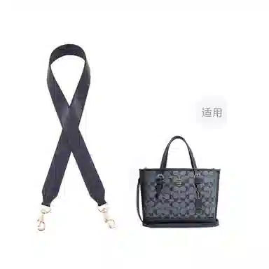 COACH Mollie 25 Tote