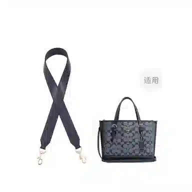 COACH Mollie 25 Tote