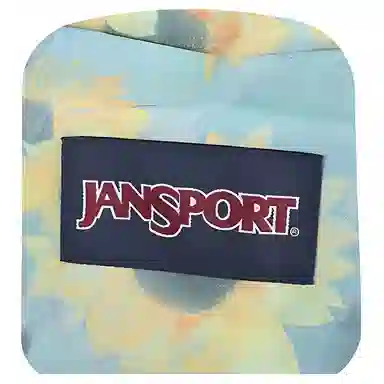 JanSport 26L