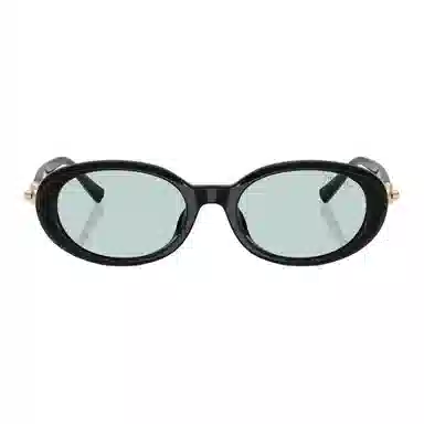 Tiffany & Co. Oval Acetate Sunglasses Black