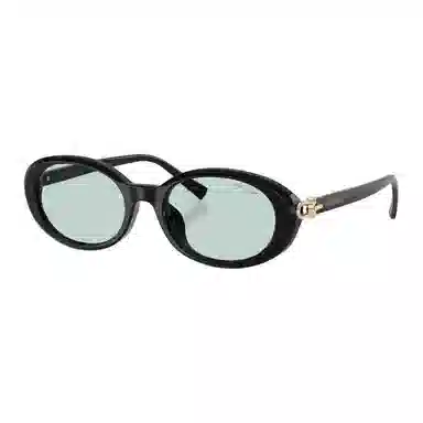 Tiffany & Co. Oval Acetate Sunglasses Black