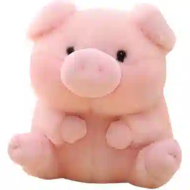 13cm
